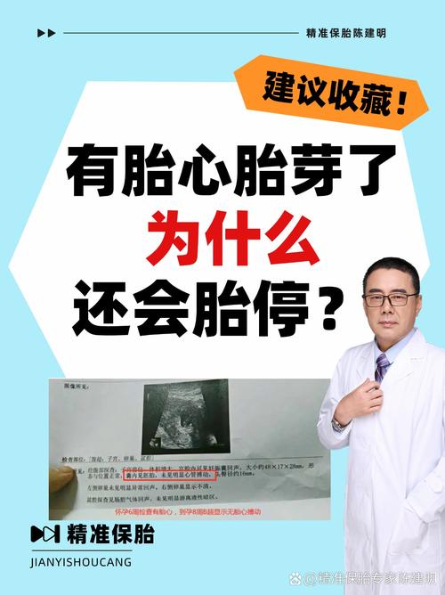 试管婴儿移植成功胎心不稳定怎么办？