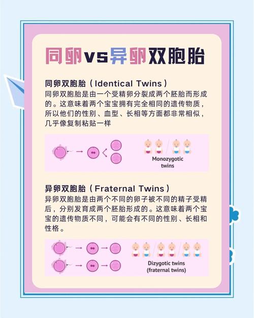 * 试管婴儿: 比传统方法更易得龙凤胎？