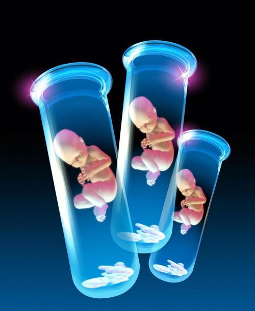 试管婴儿：精子是否真的一定不会弄错？