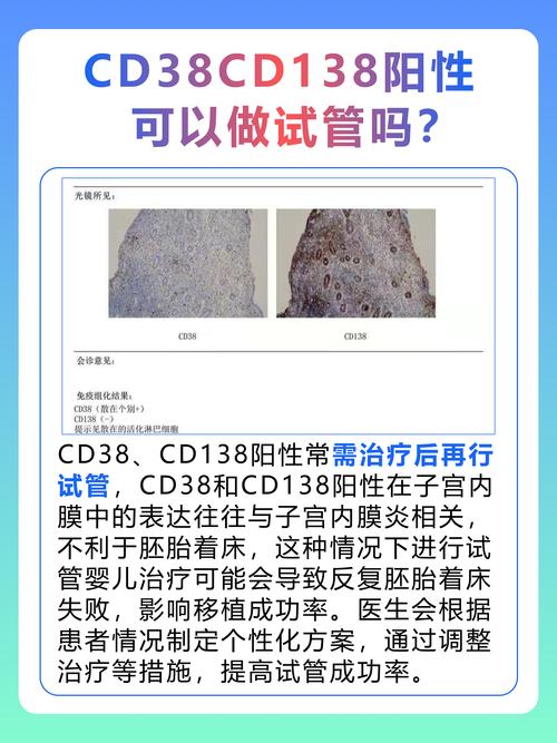 阳性能做试管婴儿吗？解析过程和成功率探讨