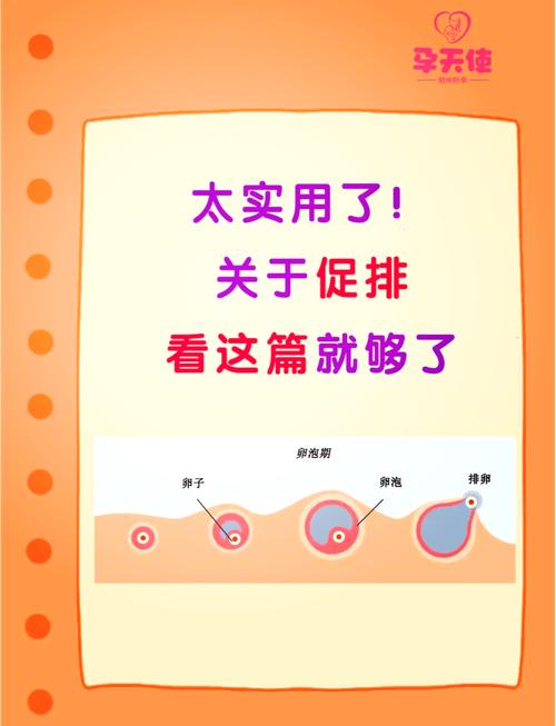 试管婴儿尿促效果分析：如何提升成功率？