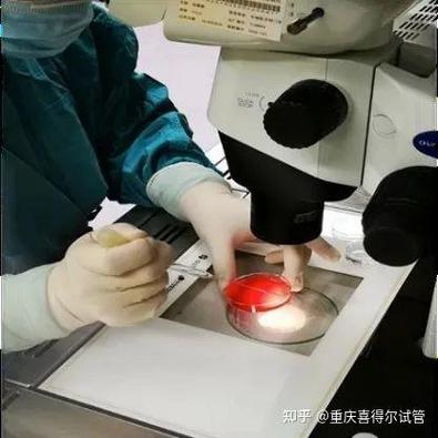 什么是半试管婴儿：技术解密与常见误区