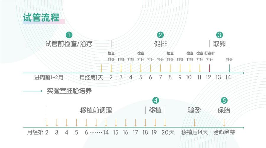 试管婴儿成功周期中如何科学提前放精？