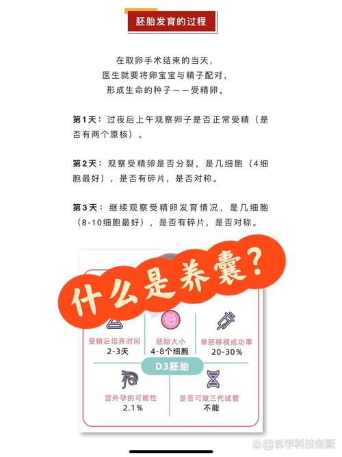 试管婴儿养囊的周期及注意事项，你了解多少？