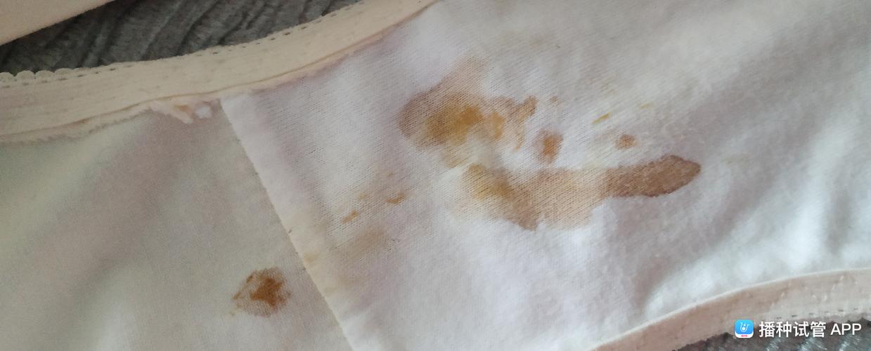 试管婴儿成功后的28天，见红预示着什么？