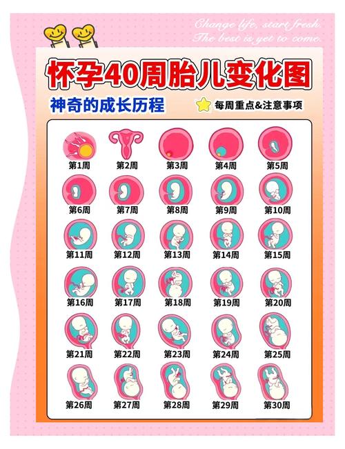 试管婴儿：男婴  女婴，你会选哪个？