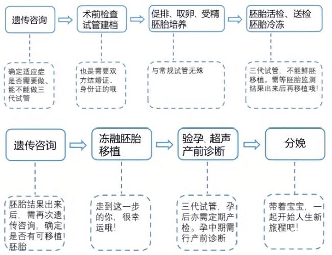 三代试管婴儿流程中是否需要检查地贫？