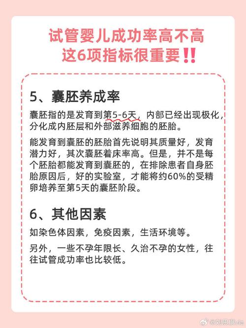 试管婴儿移植的三个重要指标是什么？