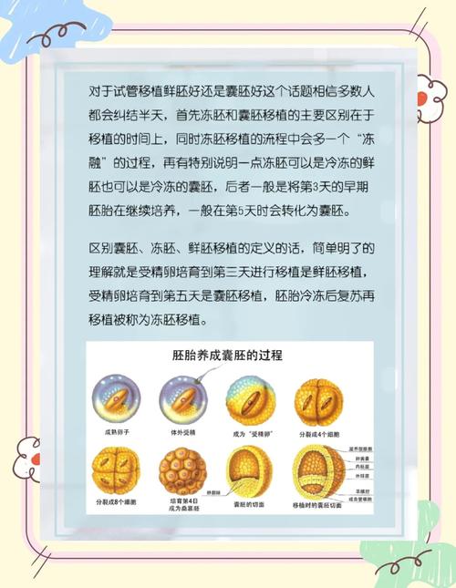 新加坡试管婴儿成功率：为何它是全球首选？