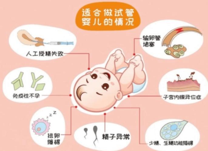揭秘：试管婴儿是否依赖母体？