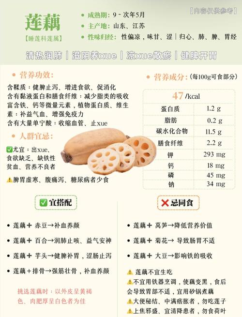 试管婴儿成功后饮食指南：莲藕适合食用吗？