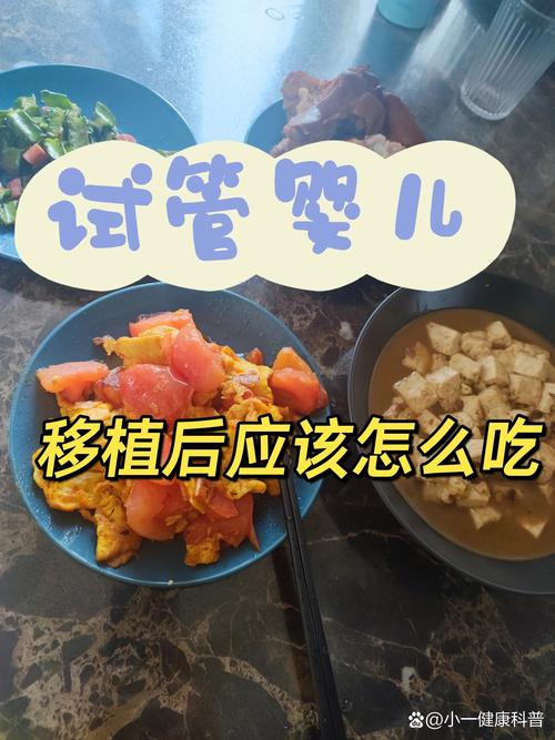 试管婴儿后能吃包子吗？营养师给答案！