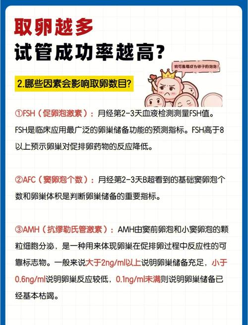 试管婴儿成功与否：关键看成熟卵泡比例吗？