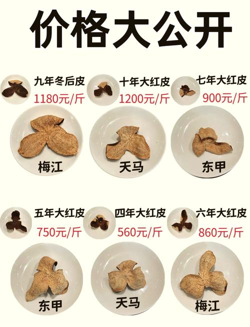 试管婴儿怀孕后能不能吃陈皮？我们来一探究竟！